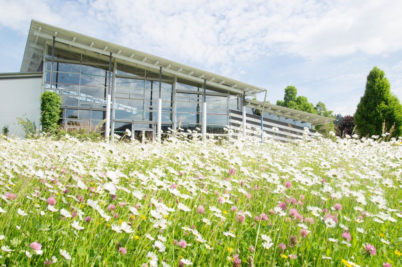 Angerhalle Möhringen