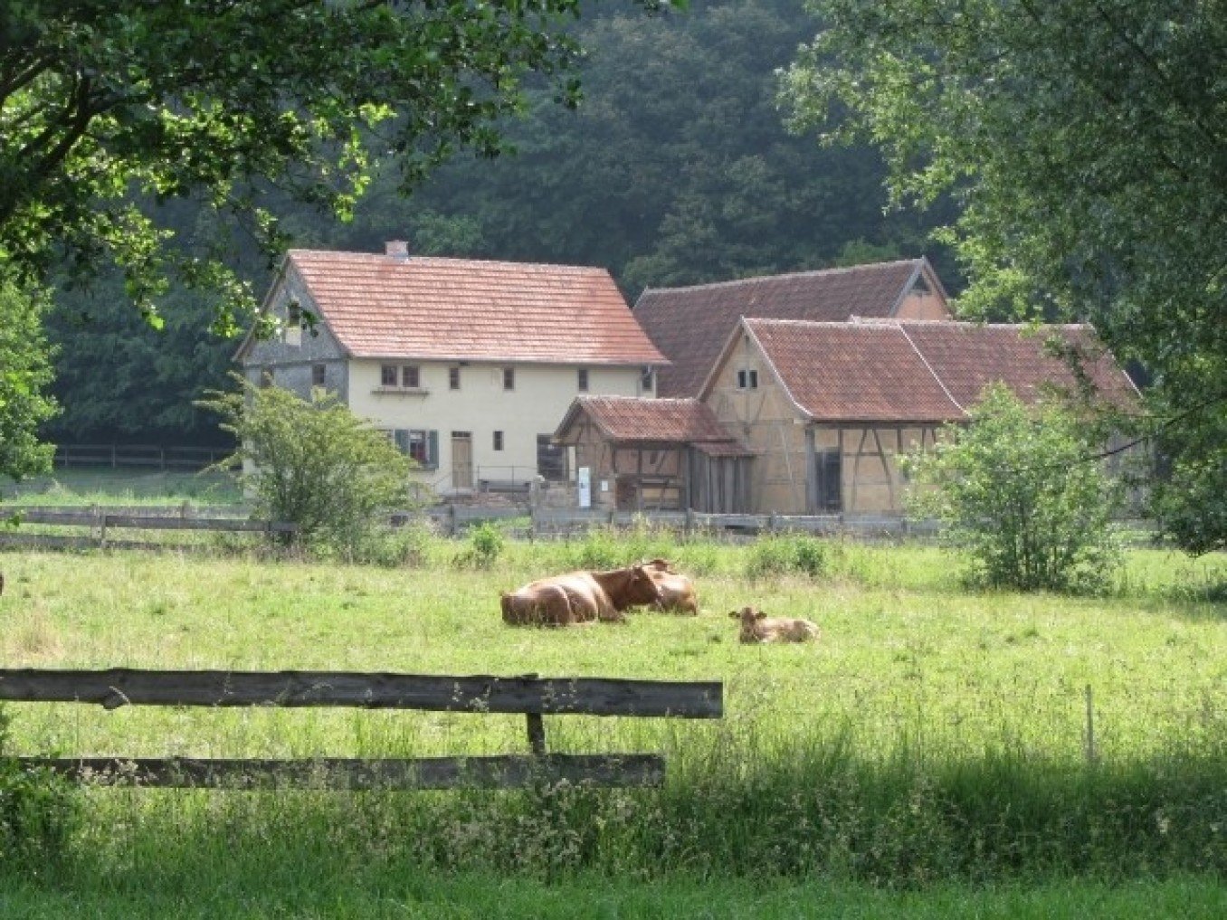 Fränkisches Freilandmuseum Fladungen
