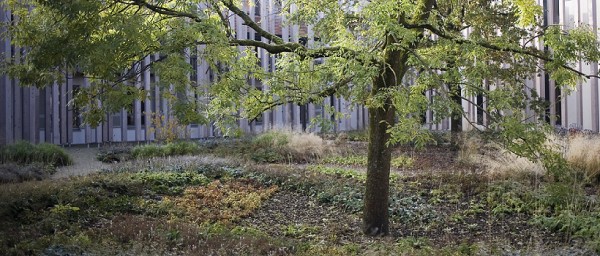 Schloss Hohenkammer GmbH