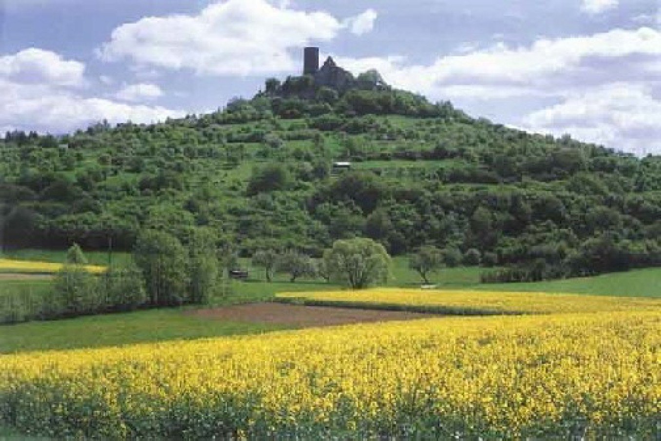 Burg Gleiberg