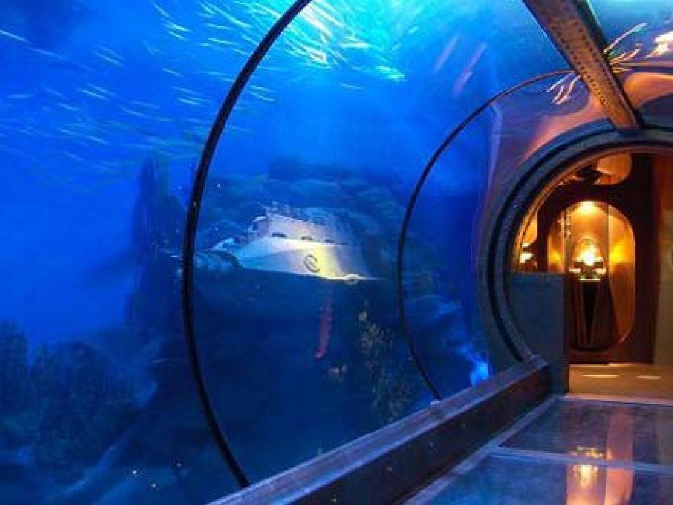 SEA LIFE Königswinter