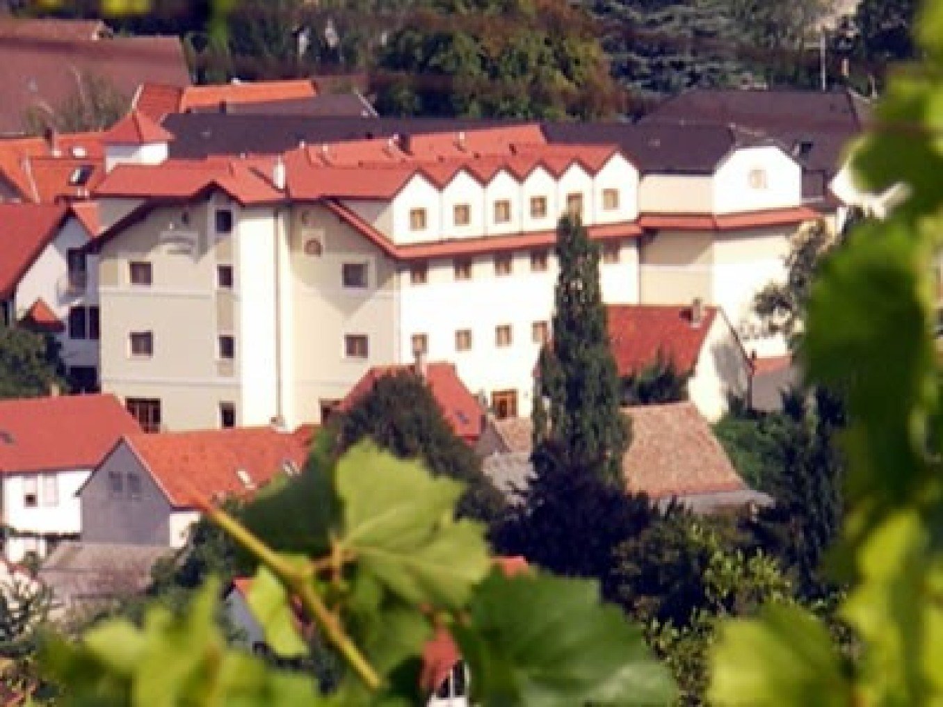 Pfalzhotel Asselheim