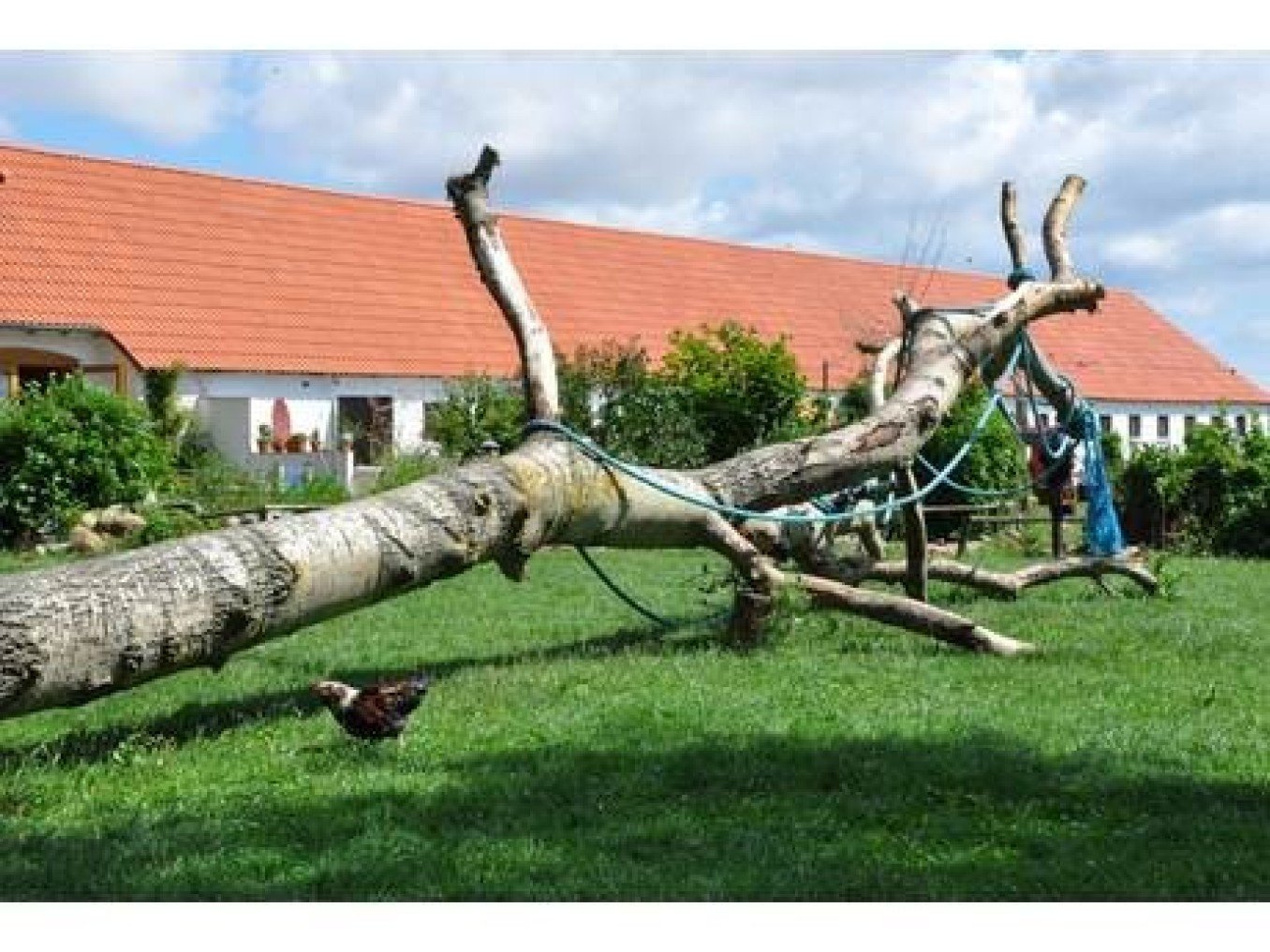 Freizeit- und Erlebnishof Lüttkevitz