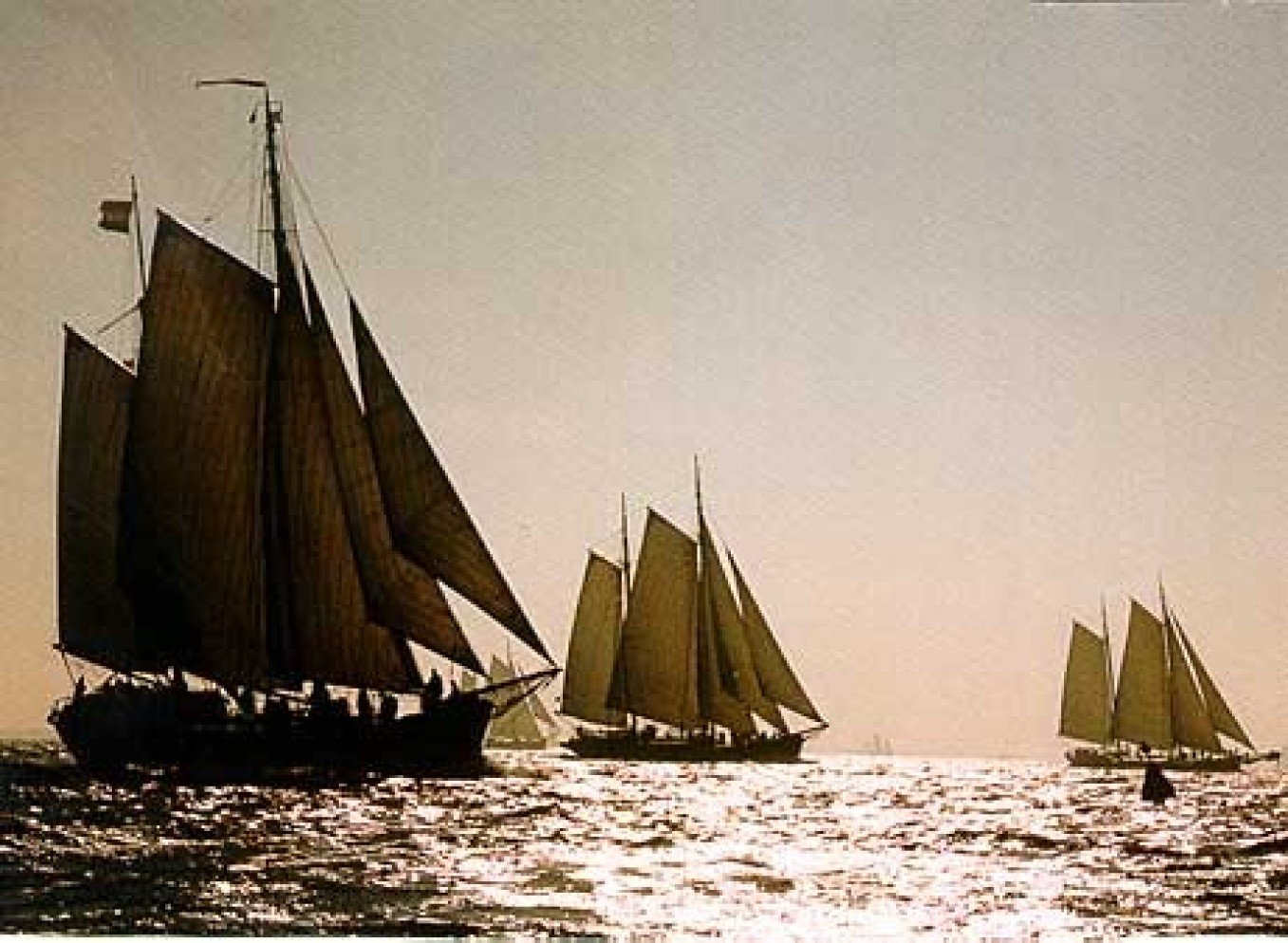 Segelschiffe/Großsegler Traditional Sailing Charter