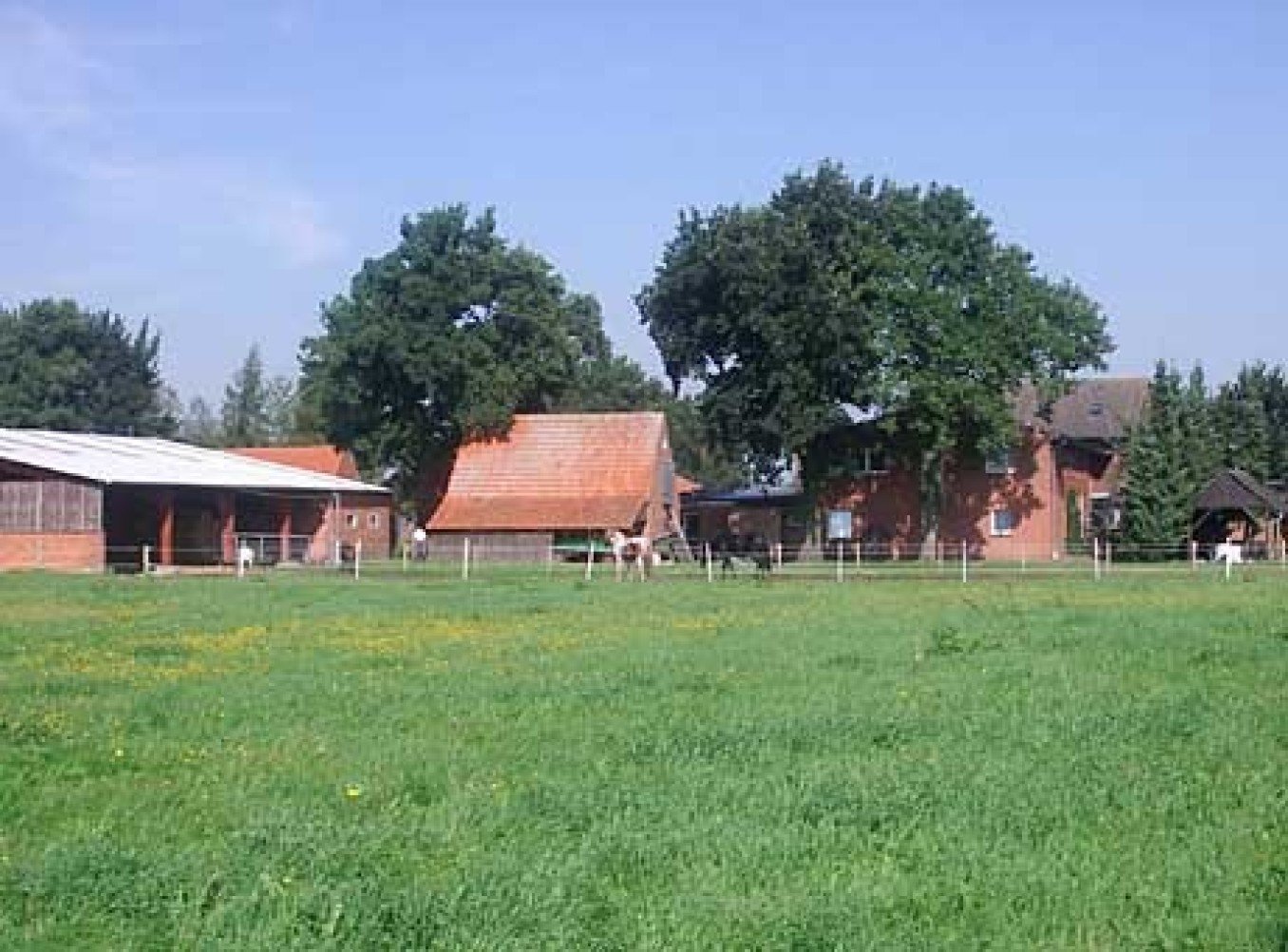 Lazy Horse Ranch Ferien- und Reiterhof Braune