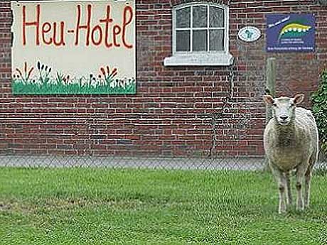 Heuhotel Ruhwarden