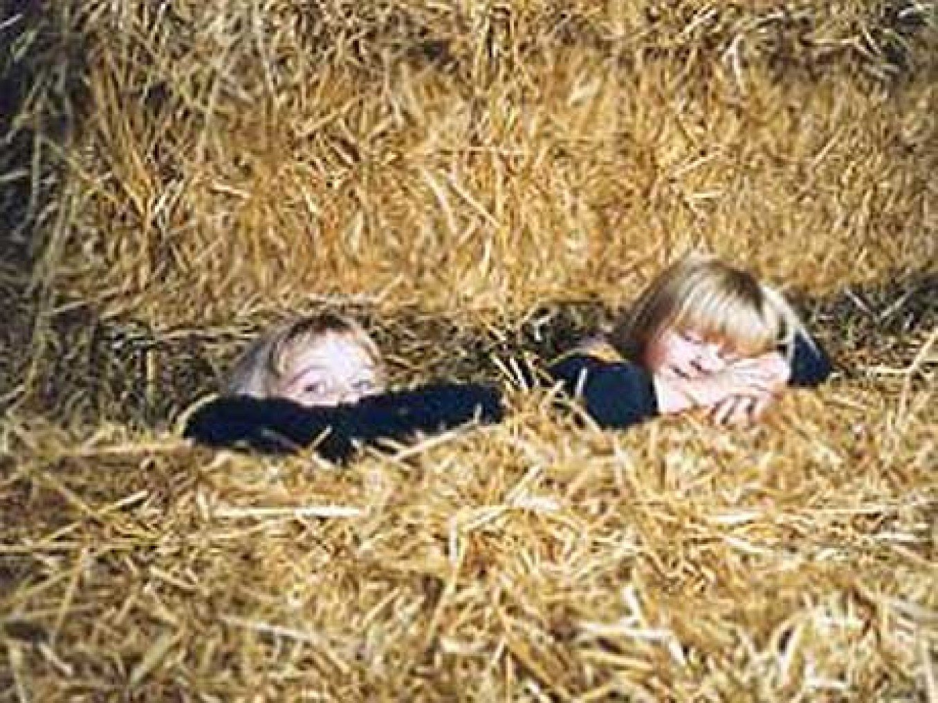 Heuhotel Rittergut Brokeloh