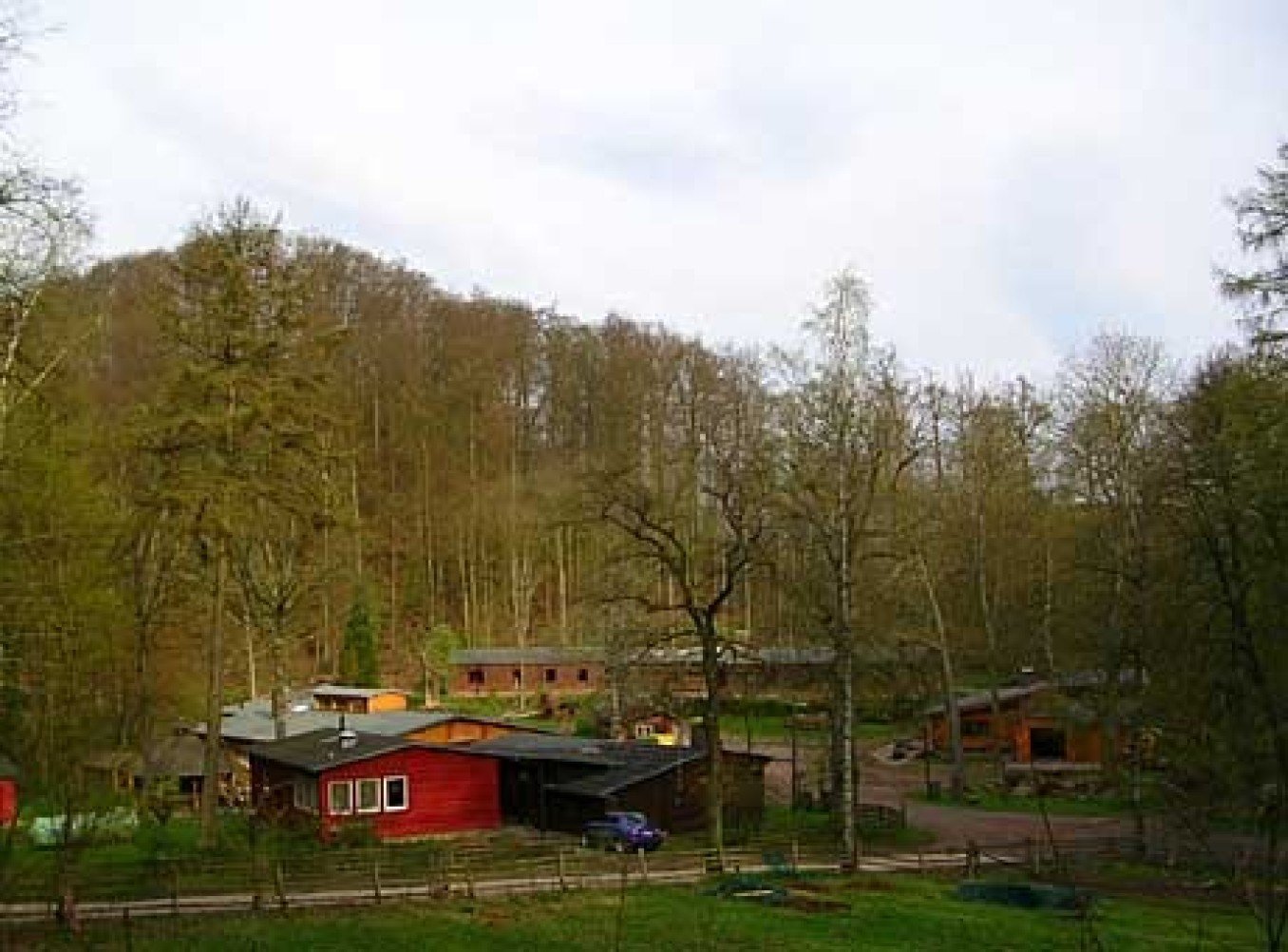 Jugendwaldheim 25 Eichen