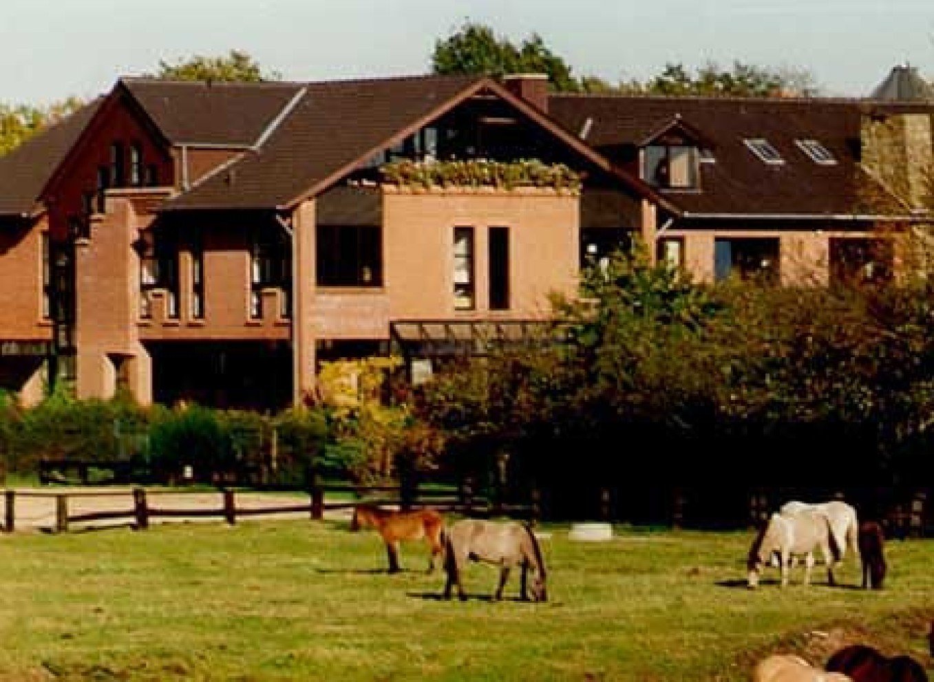 Seehof Reuter GmbH Reiterhof