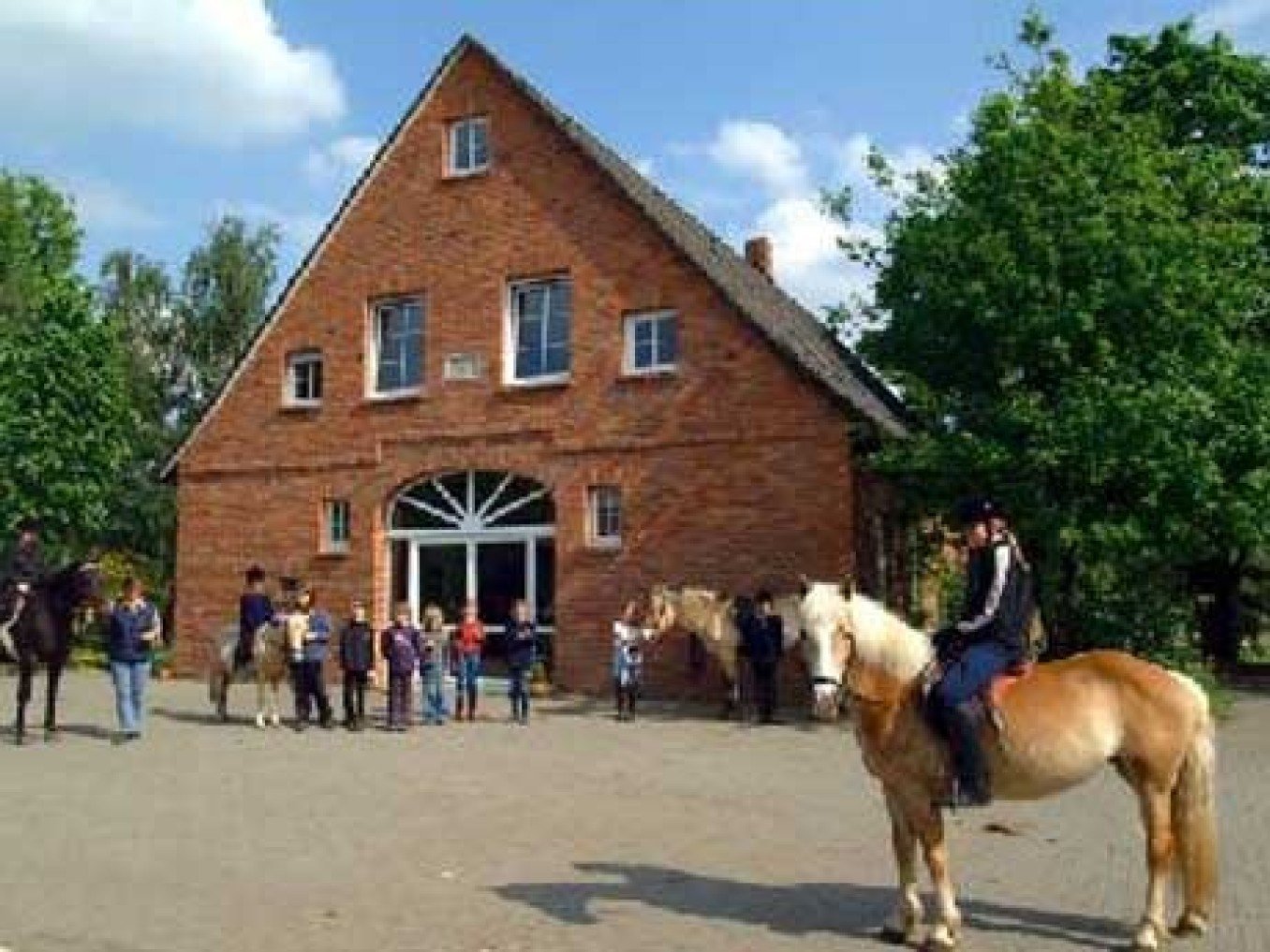 Reiterhof Westerfeld Familie Tegelmann - Reitschule (FN) ****