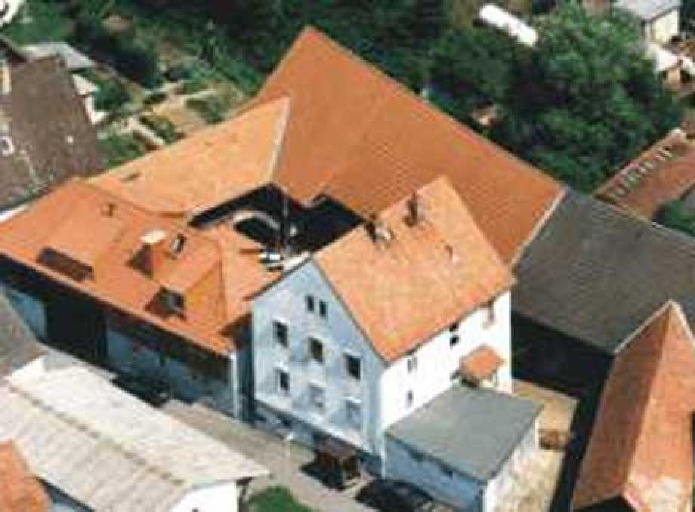 Der Apfelbaum - Seminar-Hof Alte Wurzeln - Neues Leben