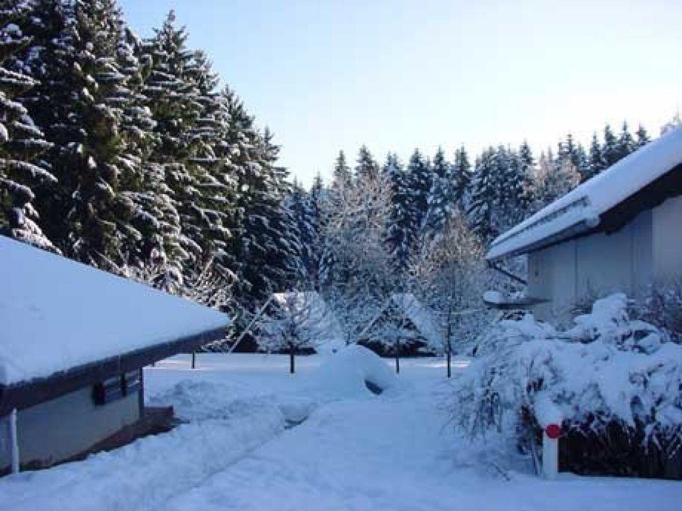 Max-Braun-Zentrum für Bildung und Freizeit